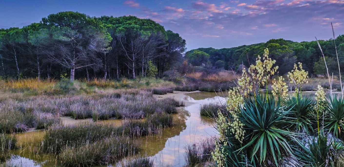 Oasi La Brussa: scopri la magia di questa meravigliosa realtà!
