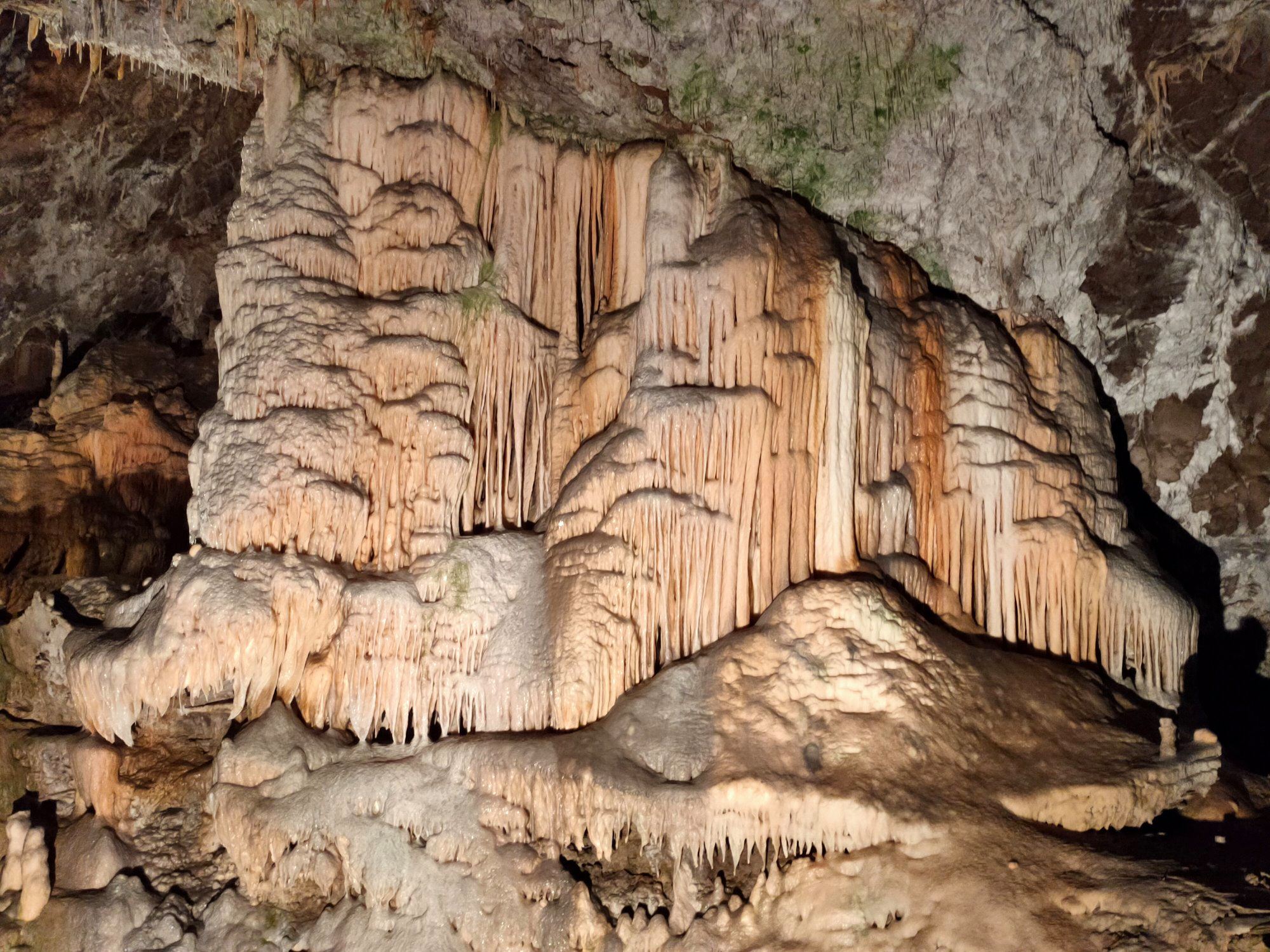 Grotte di Postumia Slovenia: Guida essenziale per la tua visita!