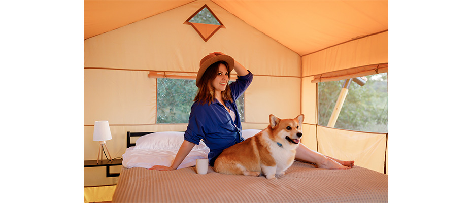 Hotel pet friendly romagna